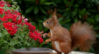 Radiance Eternity , At Thoraipakkam, Chennai